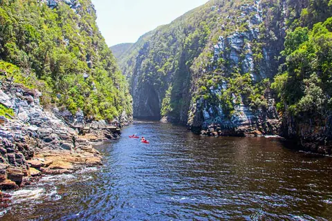 Southern Cape Family Road Trip, South Africa cover